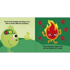 First Emotions: My Little Box Of Emotions: Little Guides For All My Emotions -Baby Products Store DK Children First Emotions My Little Box Of Emotions Little Guides For All My Emotions Books 10