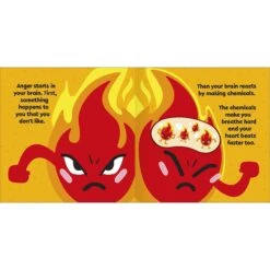 First Emotions: My Little Box Of Emotions: Little Guides For All My Emotions -Baby Products Store DK Children First Emotions My Little Box Of Emotions Little Guides For All My Emotions Books 8