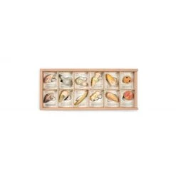 Wild -12 Wooden Creatures With Sorting Tray