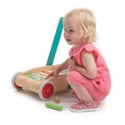 Baby Block Walker -Baby Products Store Tenderleaf Toys Baby Block Walker 4