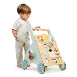 Sunshine Baby Activity Walker -Baby Products Store Tenderleaf Toys Sunshine Baby Activity Walker 4